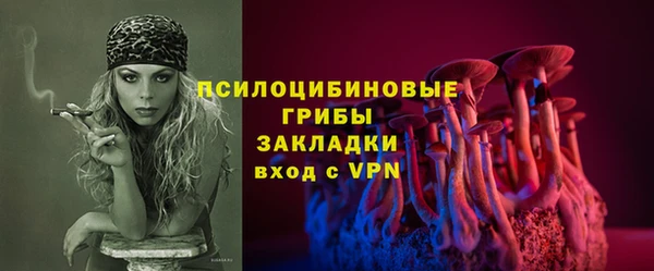 метадон Белокуриха