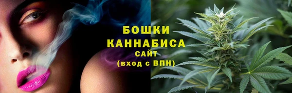 метадон Белокуриха