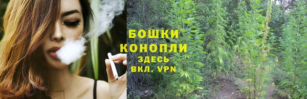 амф Белоозёрский