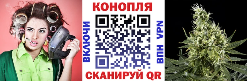где купить наркотик  Володарск  Марихуана семена 